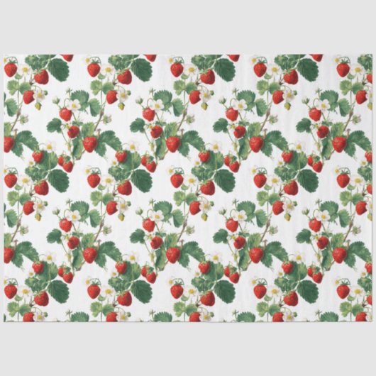 Papier Mousseline Fraises à l'aquarelle (Recto)