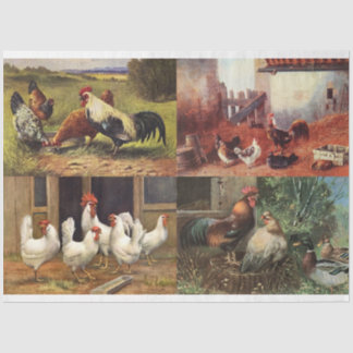 Papier Mousseline Français Pays Agricole Coq Quad 1 Découpage