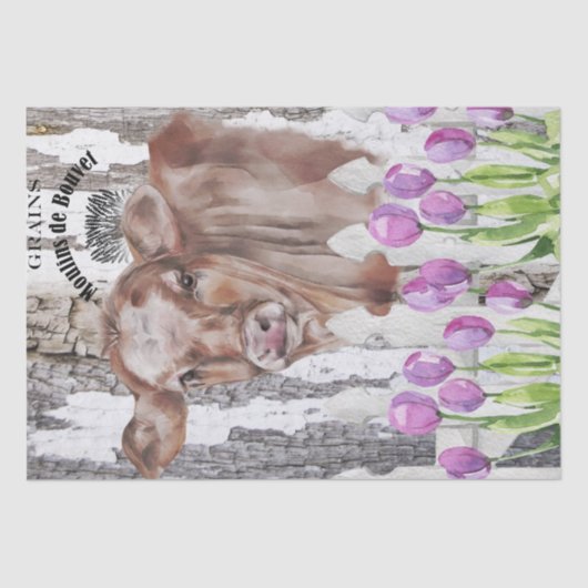 Papier Mousseline Français Pays Floral Agritourisme (Recto)