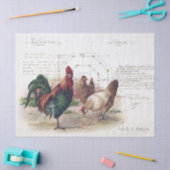 Papier Mousseline Français Script Hen Chicken Farmhouse Decoupage (Artisanat)