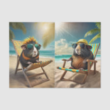 Frankie G & Gerald, Cochons d'Inde en Vacances