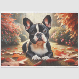 Papier Mousseline French Bulldog Autumn quitte la page de découpage