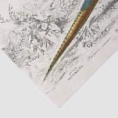 Papier Mousseline French Pheasant Bird Carte Postale Decoupage Vint (Détail)