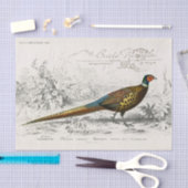 Papier Mousseline French Pheasant Bird Carte Postale Decoupage Vint (Artisanat)