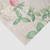 Papier Mousseline French Script Bee Pink Clover Flower Honey Music (Détail)