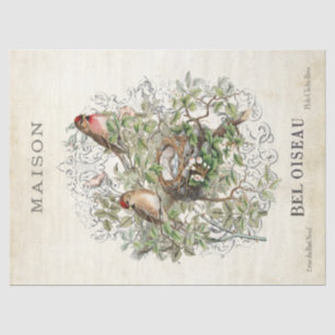 Papier Mousseline French Vintage Bird Nid Maison Cadre Découpage