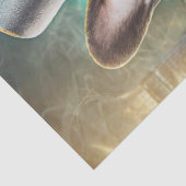 Papier Mousseline Frenchie's Flush, French Bulldog Playing Poker (Détail)