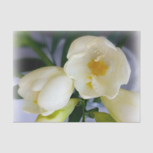 Papier Mousseline frénésie jaune blanc