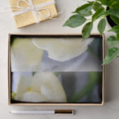 Papier Mousseline frénésie jaune blanc (Cadeau)