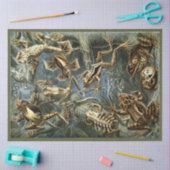Papier Mousseline Frogs Ernst Haeckel Decoupage Papier de tissus (Artisanat)