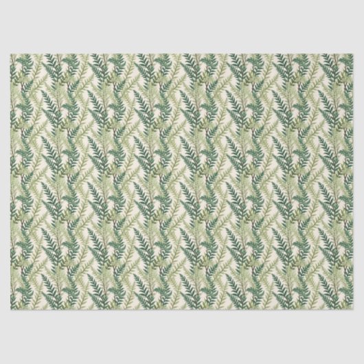 Papier Mousseline Frondes Fern (Recto)