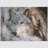 Papier Mousseline Frosted Lodge Grey Wolf Portrait (Recto)