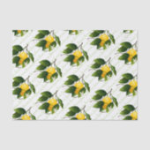 Papier Mousseline Fruit citron (Recto)