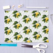 Papier Mousseline Fruit citron (Artisanat)