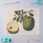 Papier Mousseline Fruit et feuillage durian (Artisanat)