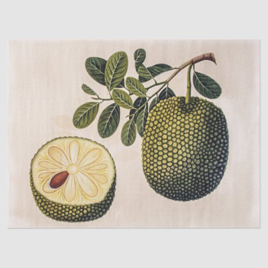 Papier Mousseline Fruit et feuillage durian (Recto)
