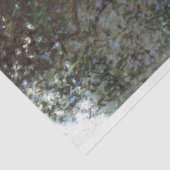 Papier Mousseline Fruits, Gustav Klimt (Détail)