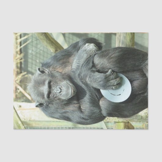 PAPIER MOUSSELINE FUNNY CHIMP (Recto)