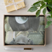 PAPIER MOUSSELINE FUNNY CHIMP (Cadeau)