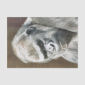 PAPIER MOUSSELINE FUNNY GORILLA (Recto)