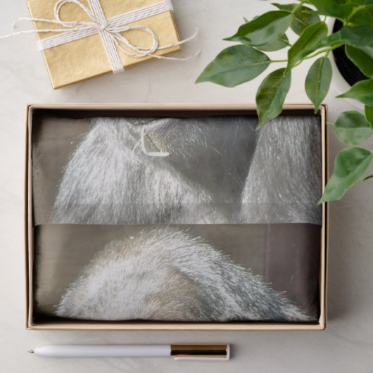 PAPIER MOUSSELINE FUNNY GORILLA (Cadeau)