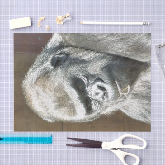 PAPIER MOUSSELINE FUNNY GORILLA (Artisanat)