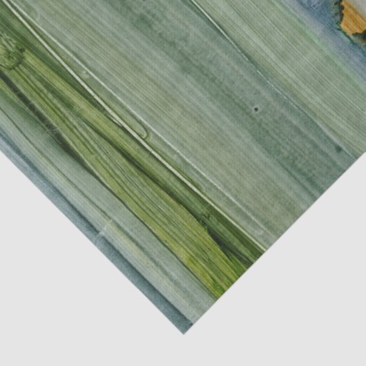 Papier Mousseline Fusion II (Détail)