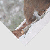 Papier Mousseline Fuzzy White Quail Cerf Fawn (Détail)