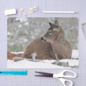 Papier Mousseline Fuzzy White Quail Cerf Fawn (Artisanat)