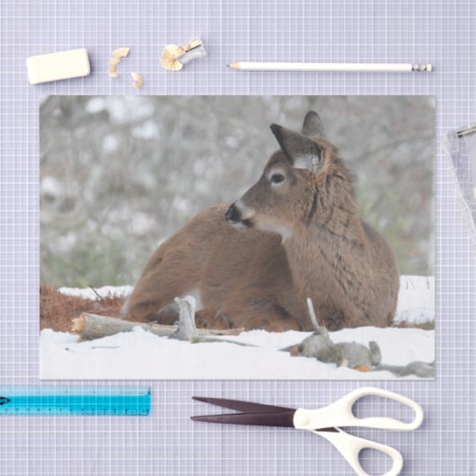 Papier Mousseline Fuzzy White Quail Cerf Fawn (Artisanat)