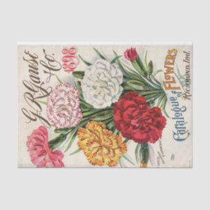 Papier Mousseline G.R. Gause 1898 Carnations Catalogue des semences