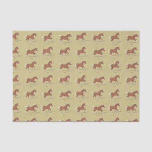 Papier Mousseline Gaits of the Horse Walk Trot Canter Gallop Sorrel