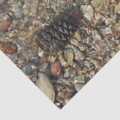 Papier Mousseline Galets dans Taylor Creek Nature Photography (Détail)