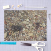 Papier Mousseline Galets dans Taylor Creek Nature Photography (Artisanat)