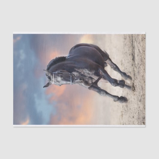 Papier Mousseline Galopage de cheval friésien noir (Recto)