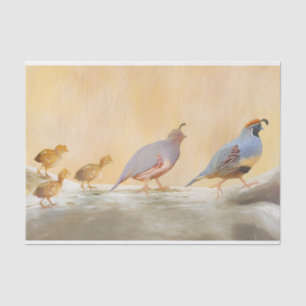 Papier Mousseline Gambrel's Quail Painting Original Bird Art