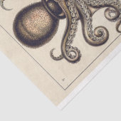 Papier Mousseline Gamochonia Calamar à poulpe Papier de décolpage (Détail)