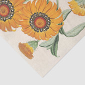 Papier Mousseline Gazania splendens (hybrides) par Charles Lemaire (Détail)