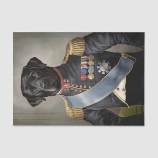 Papier Mousseline Général Murphy, Black Lab en uniforme militaire (Recto)