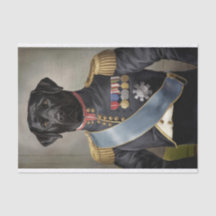 Général Murphy, Labrado noir en uniforme militaire