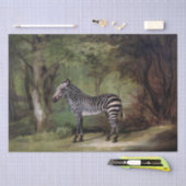 Papier Mousseline George Stubbs | Zebra (1763) (Artisanat)