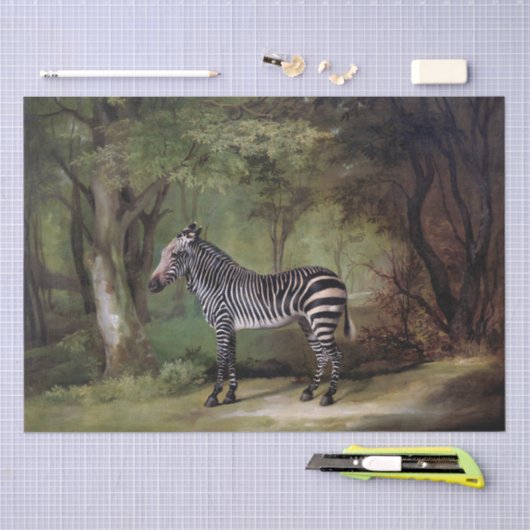 Papier Mousseline George Stubbs | Zebra (1763) (Artisanat)