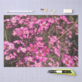 Papier Mousseline Geraldton Wax (Artisanat)
