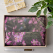 Papier Mousseline Geraldton Wax (Cadeau)