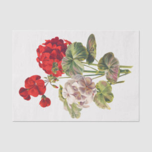 Papier Mousseline Géranium, découpage