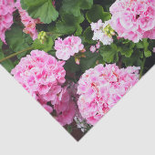 Papier Mousseline Geraniums rose floral (Détail)