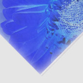 Papier Mousseline gerbera bleu électrique (Détail)