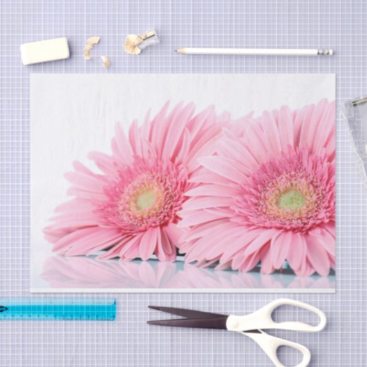 Papier Mousseline Gerbera Rose Daisies Élégante Photographie (Artisanat)