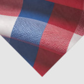 Papier Mousseline Gingham et Gloire (Détail)