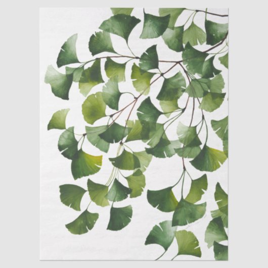 Papier Mousseline Ginkgo Biloba vert - (Recto)